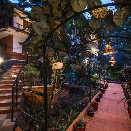 Spice Jungle Resort Munnar Exterior photo