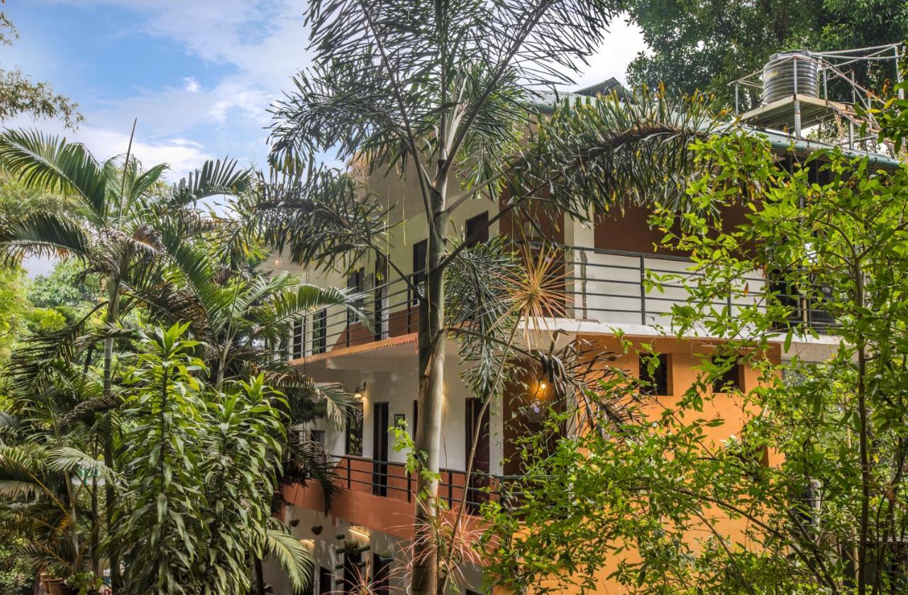 Spice Jungle Resort Munnar Exterior photo